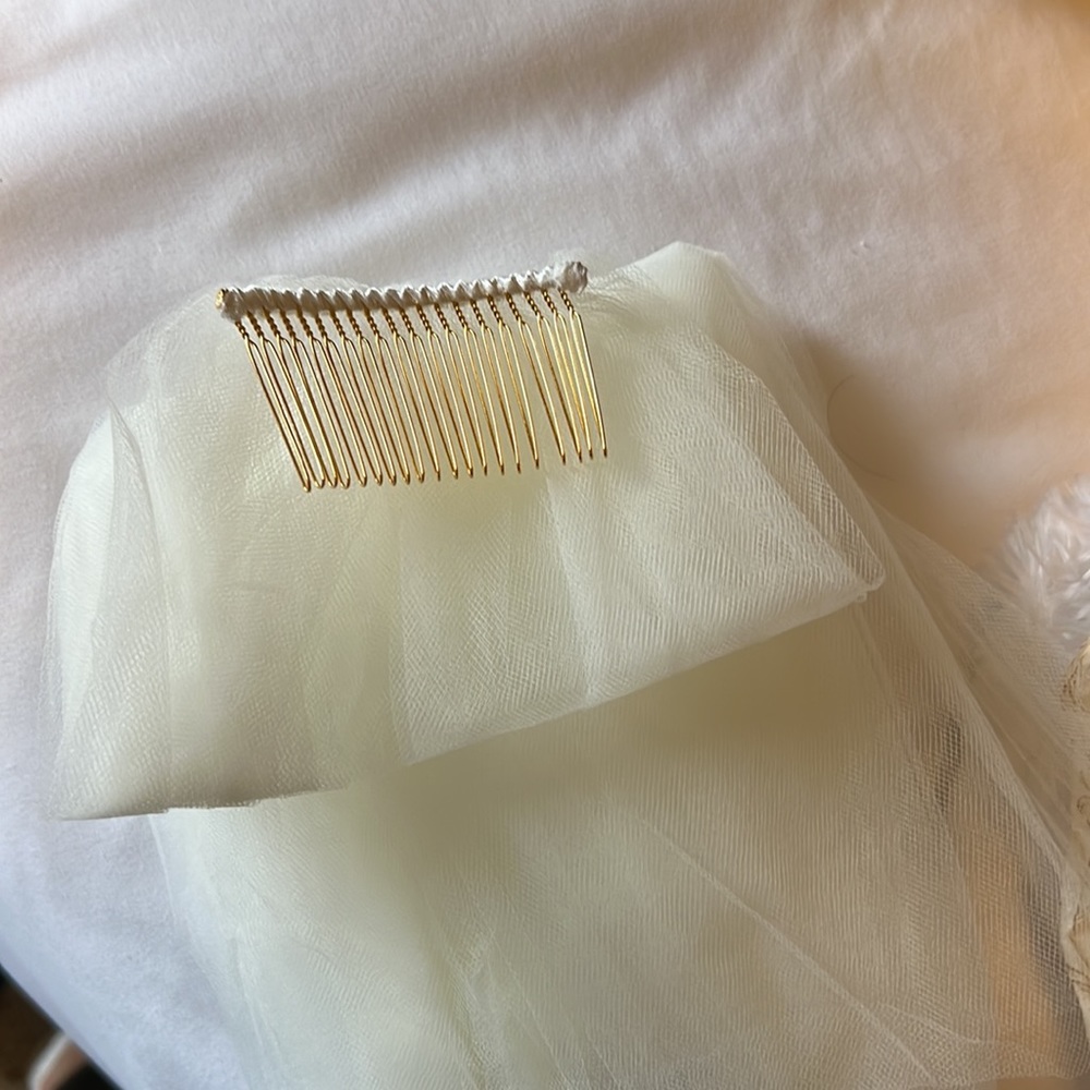 BHLDN chapel veil IVRY